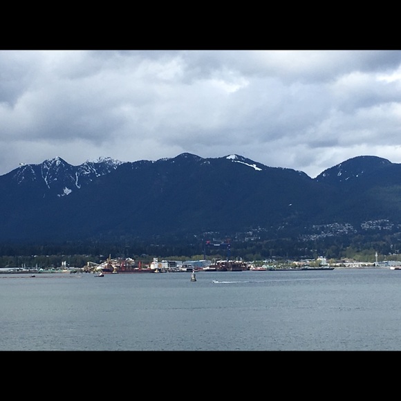 Meet your Posher, Chandra - Picture 1 of 1